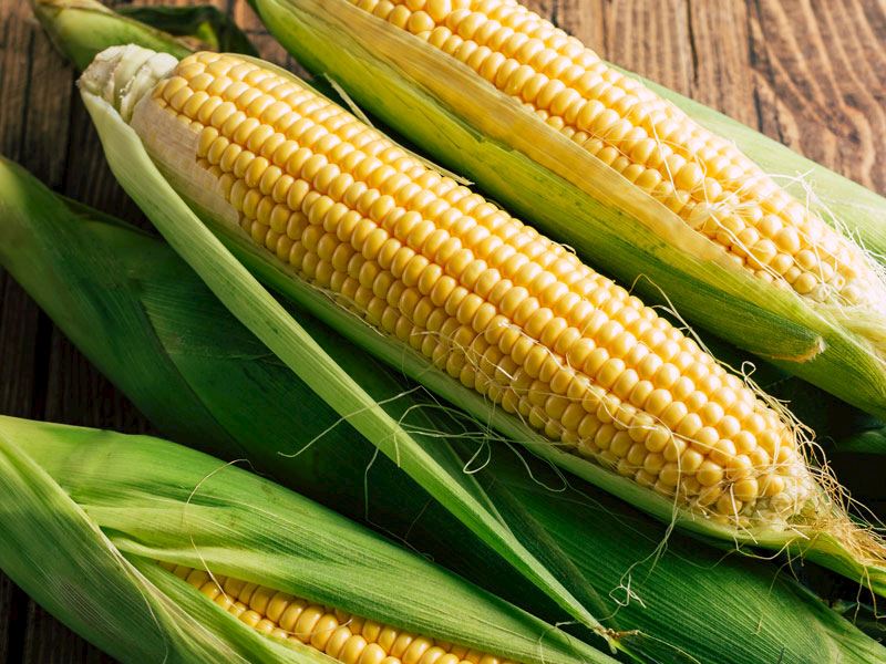 Полезно ли есть сырую кукурузу?