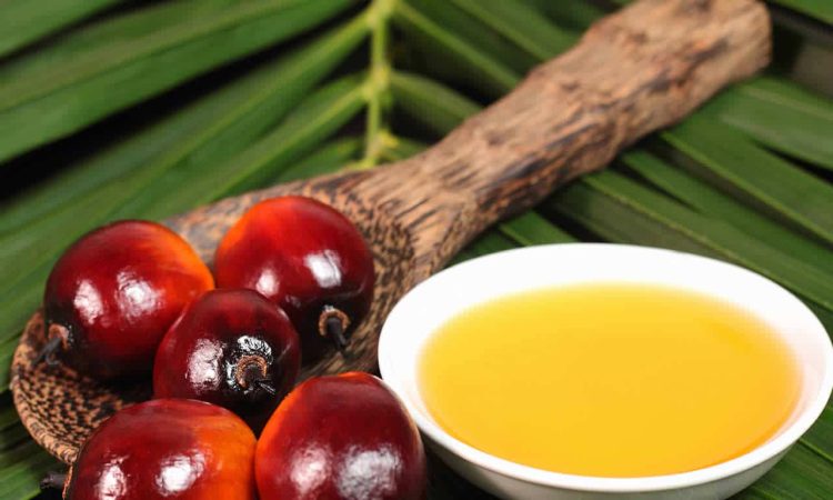 Что такое пальмовое масло? Полезно или вредно пальмовое масло?