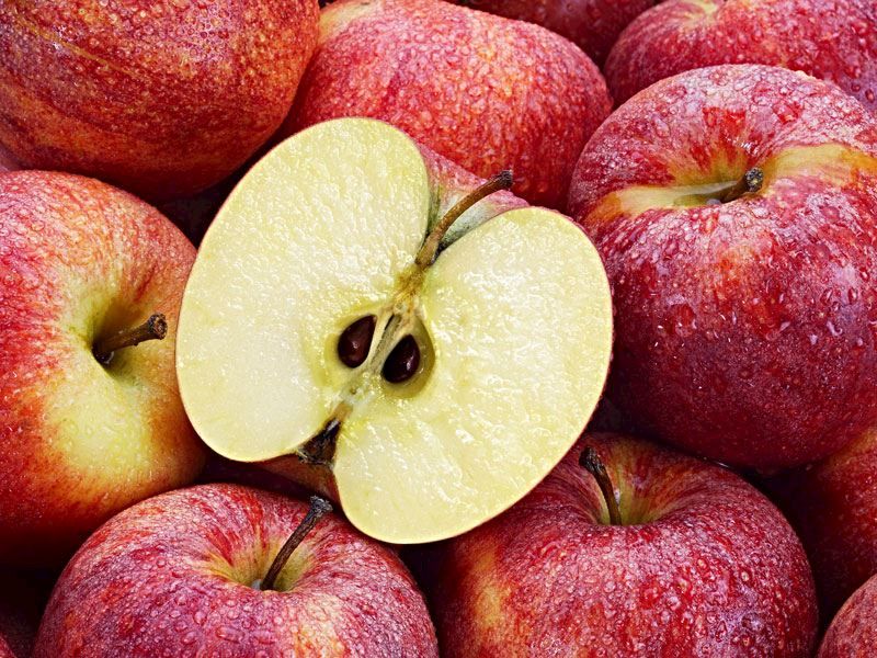 Ядовита ли сердцевина яблок?